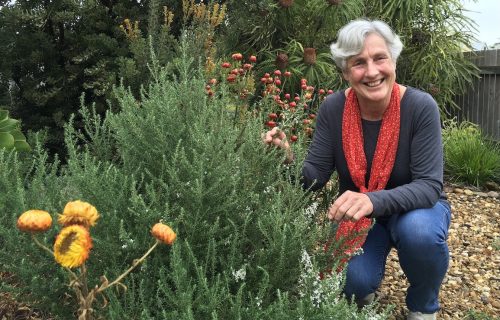 Meet our new Gardens for Wildlife Coordinator | Swan Bay Environment